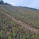 청석농장 이미지