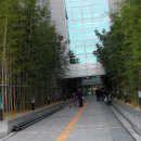 서울아산병원(서관) Daum카페