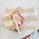 주니캔들 이미지