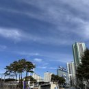 산호동107 이미지