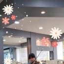 바이올린 (A) NEW 이미지
