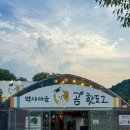 박사마을 | 춘천 현지인 핫도그맛집 박사마을곰핫도그 내돈내산 솔직후기