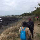 표선리-16 이미지