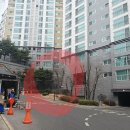 금호초등학교 앞 이미지