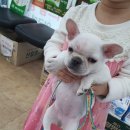 가톨릭건강약국 이미지