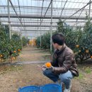 승연농장 이미지