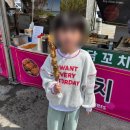 진봉 | 조카들과 서천 동백꽃 축제 &amp; 김제 진봉보리밭축제