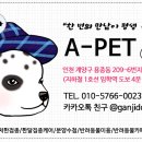 에이펫(A-PET) 이미지