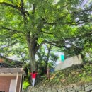 사림회관 이미지