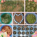 제철태권도 이미지