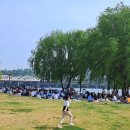 서정적 풍경 이미지