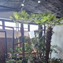 60 | 양주 베이커리 카페 VEN60 후기자색고구마빵 육쪽마늘소금빵 맛있어서 재방문한 이유