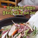 오리정가 이미지