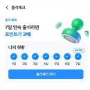포인트골프 이미지