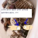 벌교 역전식당 / 꼬막전문 이미지