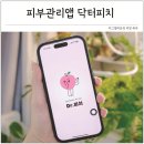 우리들병원관리 | 우리동네 병원 쉽게 찾는법, 아토피 관리 피부 상태 기록 앱 닥터피치 사용 후기