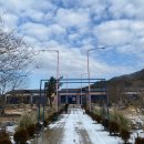 서울특별시시우회사 | 장성 맛집 시우팜 가족끼리 가기 좋은 곳