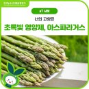 양구아스파라거스 작목반