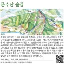 [명품숲길 50선①] 김포 문수산 숲길 _ 산성과 어울어진 숲길 _ 20231230 이미지