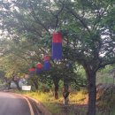 (주)투어일번지 이미지