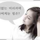 머리카락 이미지