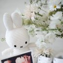 7383 | 스냅/일상스냅/웨딩스냅]순천 만삭스냅 이층미술관 후기, 34주에 찍은 내돈내산 인생사진, 순천 이층...