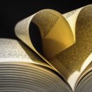 국민여가캠핑장 이미지