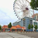 롯데리아 앞 횡단보도 | 울산에서 인천공항 버스 타고 가는 방법 - 실제 후기/시간표/요금/소요시간/휴게소 총정리