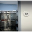 행복을찾는동물병원 이미지