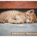 파주한의원 이미지