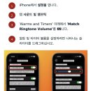 현재 개미친 역대급 혁신이라는 이번 아이폰 신기능 이미지