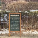 노벨레테
