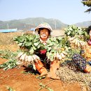 (주)한창 이미지