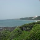 송악산 숲길 이미지