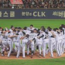 [엘지 달글 109] LG, 12연속 위닝시리즈로 KBO 한 시즌 최다 연속 위닝 신기록 이미지