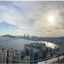 테넌바움294 이미지