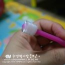 케어솔류션 360