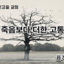 11월 6일(월) 죽음보다 더한 고통 이미지