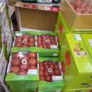 북광주농협 하나로마트로컬푸드직매장 이미지