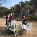 아베끄망펜션 이미지