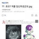 호오 이미지