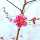 은평-022 이미지