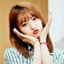 여우샐러드 이미지