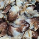 푸드어택 이미지