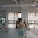 라포즈 | 서울발레학원 서울성인발레 라포즈 발레아카데미학원 후기!