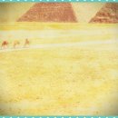 에이라인치과병원 이미지