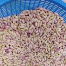 진안세탁소 이미지