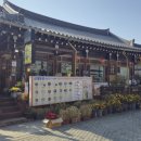 유성 | 전주 한옥마을 물짜장 맛집 신대유성 후기