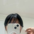 (단기)퍼스널 컬러를 이용한 이미지 진단 | 서울 퍼스널컬러 재진단 후기, 강남 톤하우스 골격 진단 내돈내산