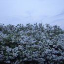 박경리 추모공원 이미지